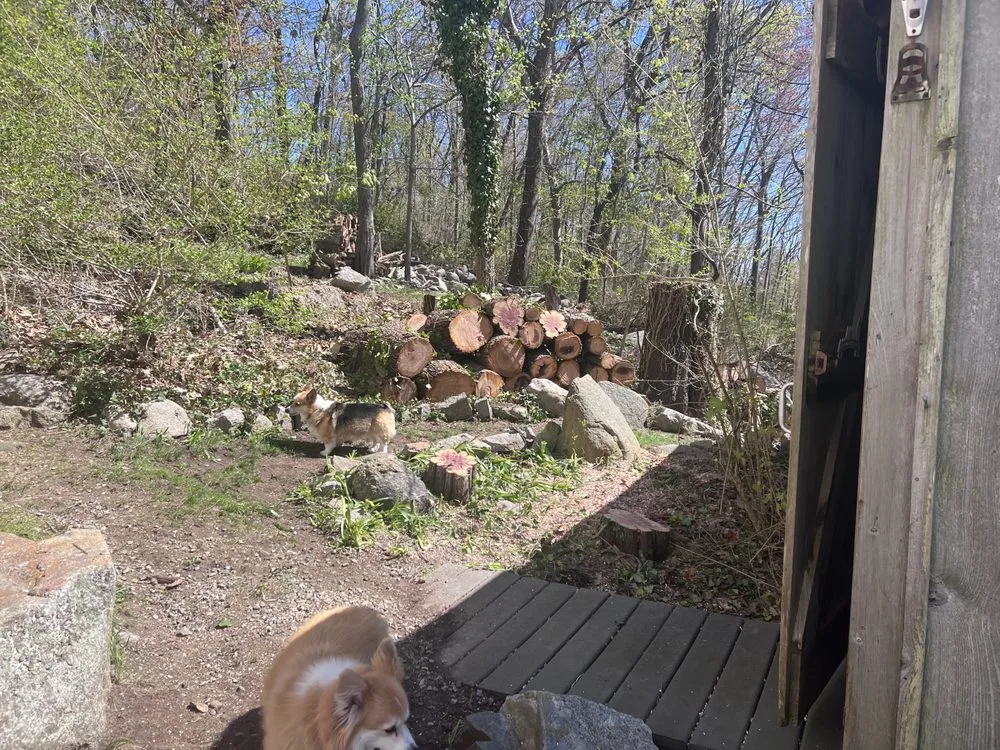 Expert outdoor landscaping for year-round maintenance in Lynn, MA by Lopez Brother’s Landscaping & Tree Services