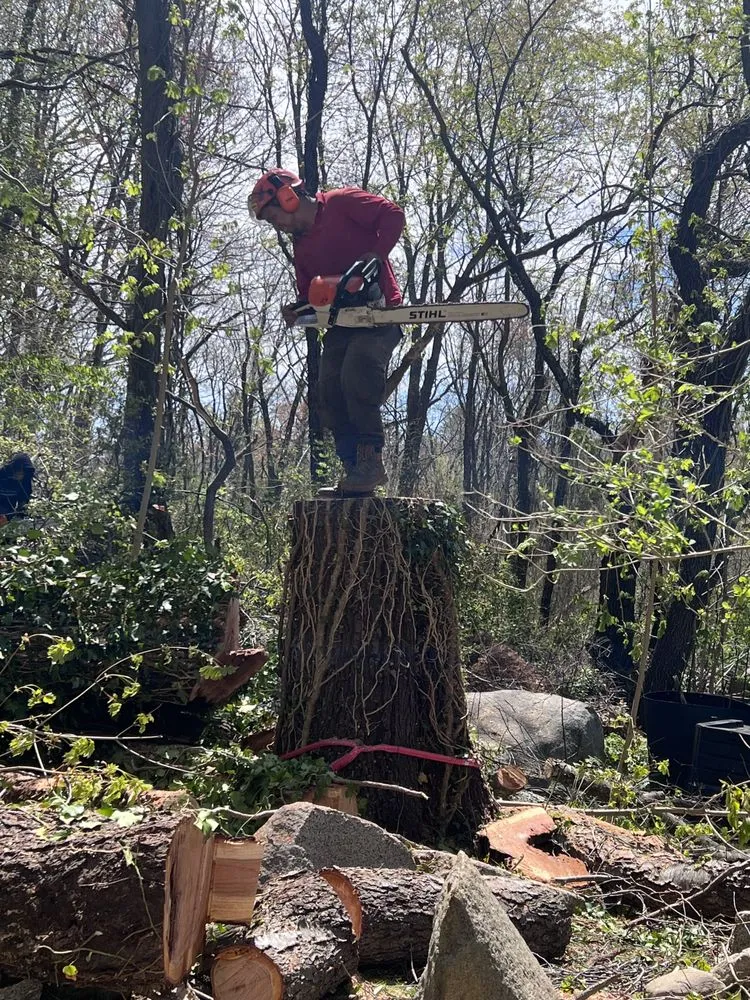 Top-rated landscaping services for beautiful yards in Lynn, MA by Lopez Brother’s Landscaping & Tree Services