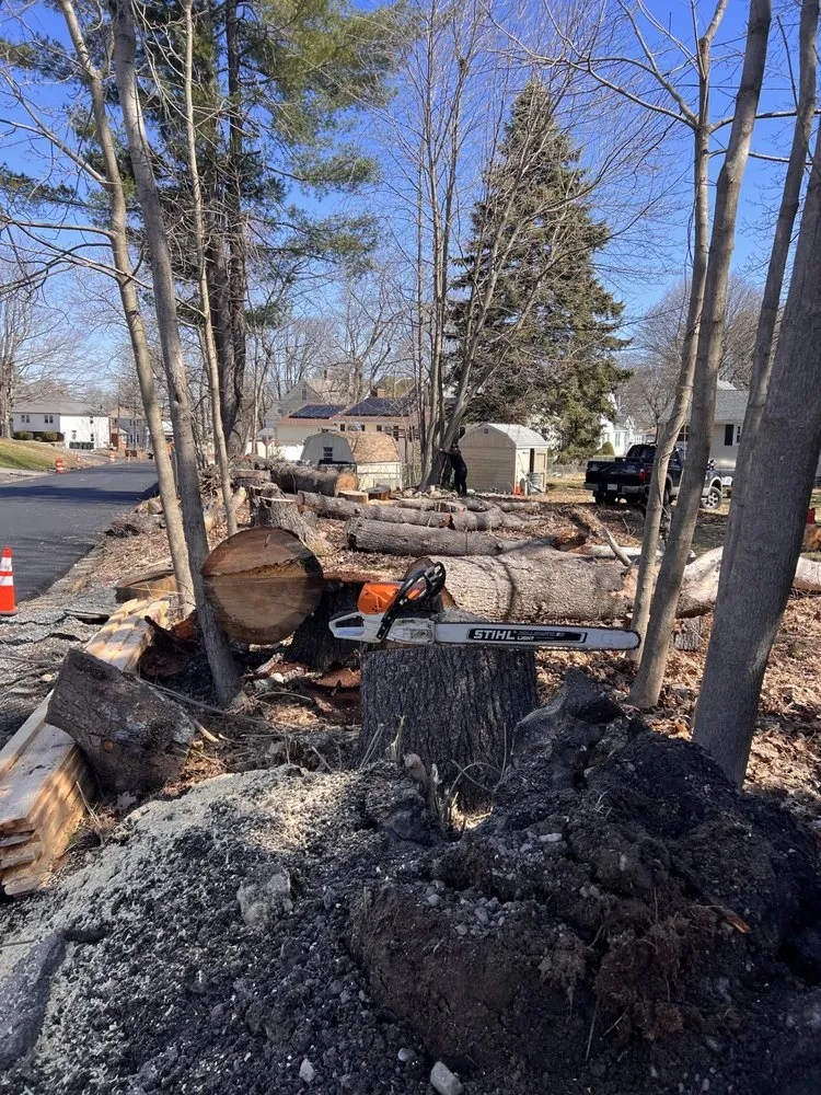 Expert landscape installation for homes across Lynn, MA - Lopez Brother’s Landscaping & Tree Services