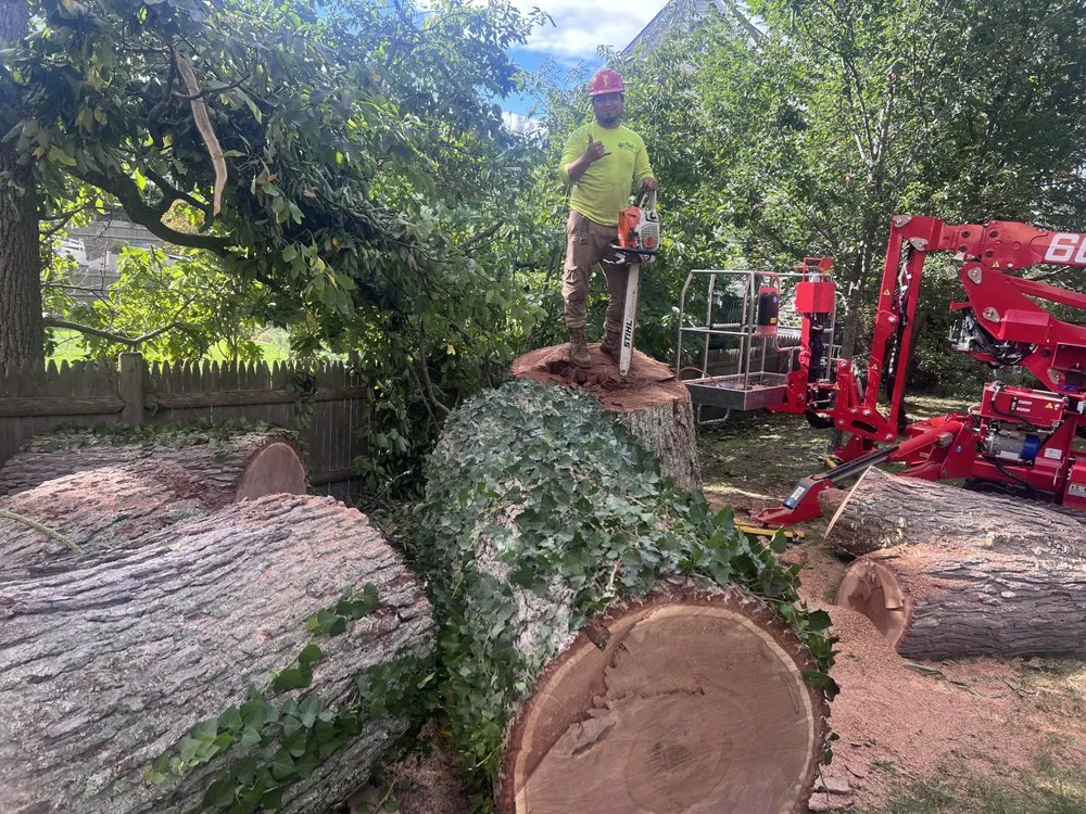 Top-rated outdoor landscaping for homes across Lynn, MA - Lopez Brother’s Landscaping & Tree Services