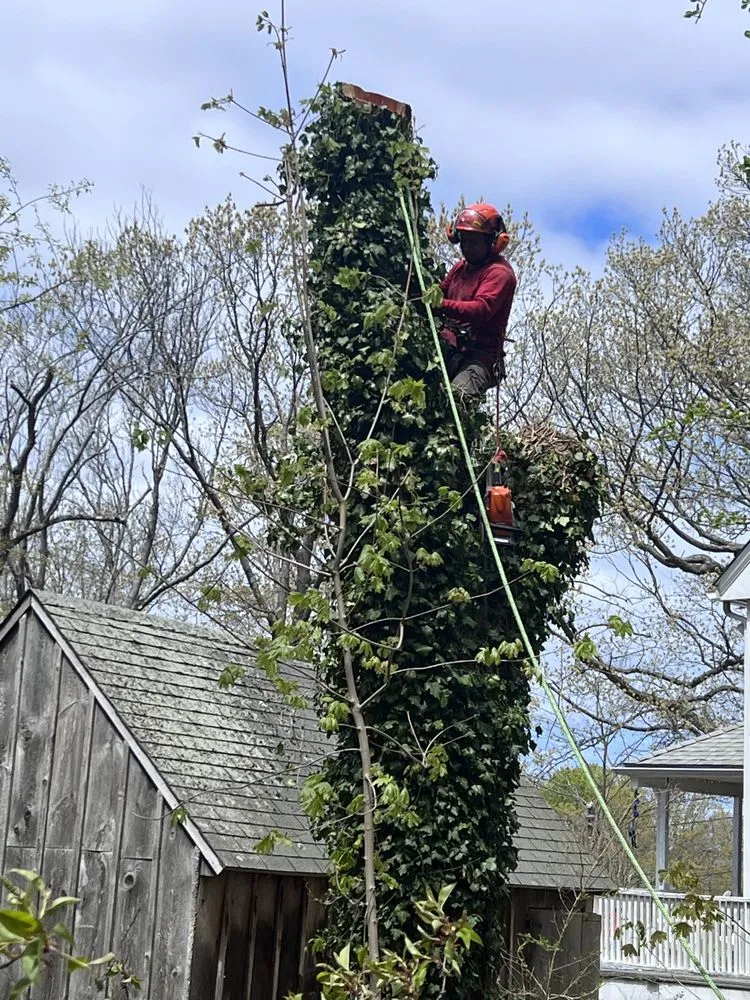 Professional landscape design in Lynn, MA - Lopez Brother’s Landscaping & Tree Services