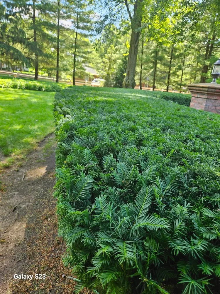 Local landscaping services in Columbus, OH by Lopez Brother's Landscaping