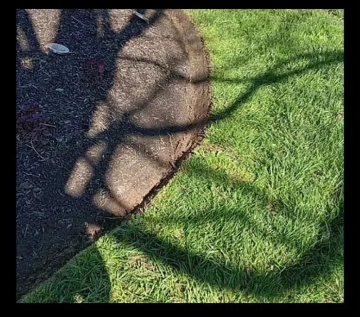 Affordable yard cleanup service in Columbus, OH - Lopez Brother's Landscaping