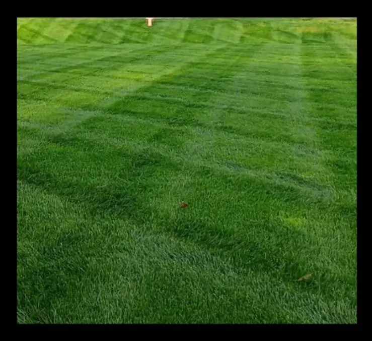 Expert yard maintenance in Columbus, OH - Lopez Brother's Landscaping