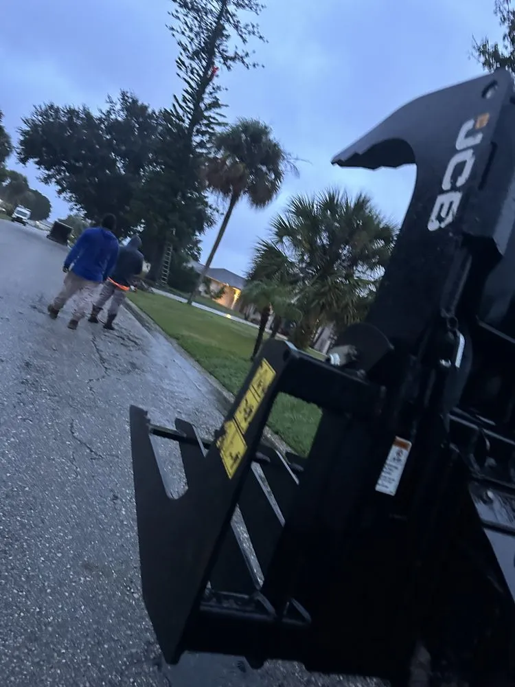 Custom landscaping services in Sarasota, FL by Lopez Brothers Lawn, Tree & Handymen Services