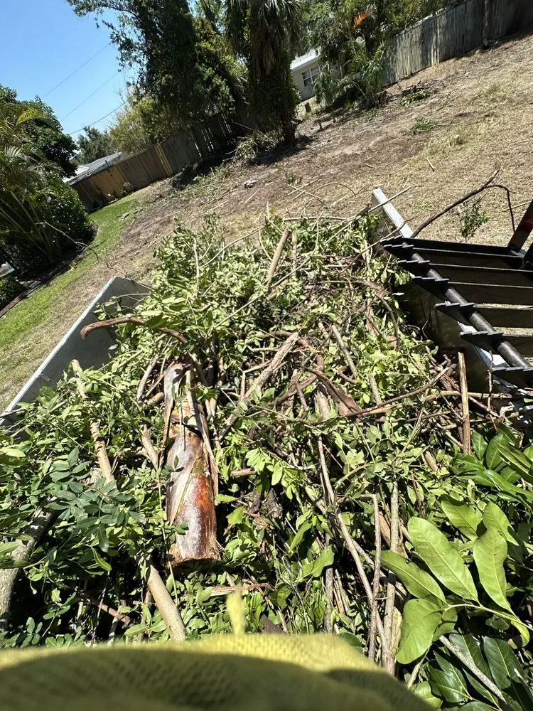 Trusted garden landscaping experts serving Sarasota, FL - Lopez Brothers Lawn, Tree & Handymen Services