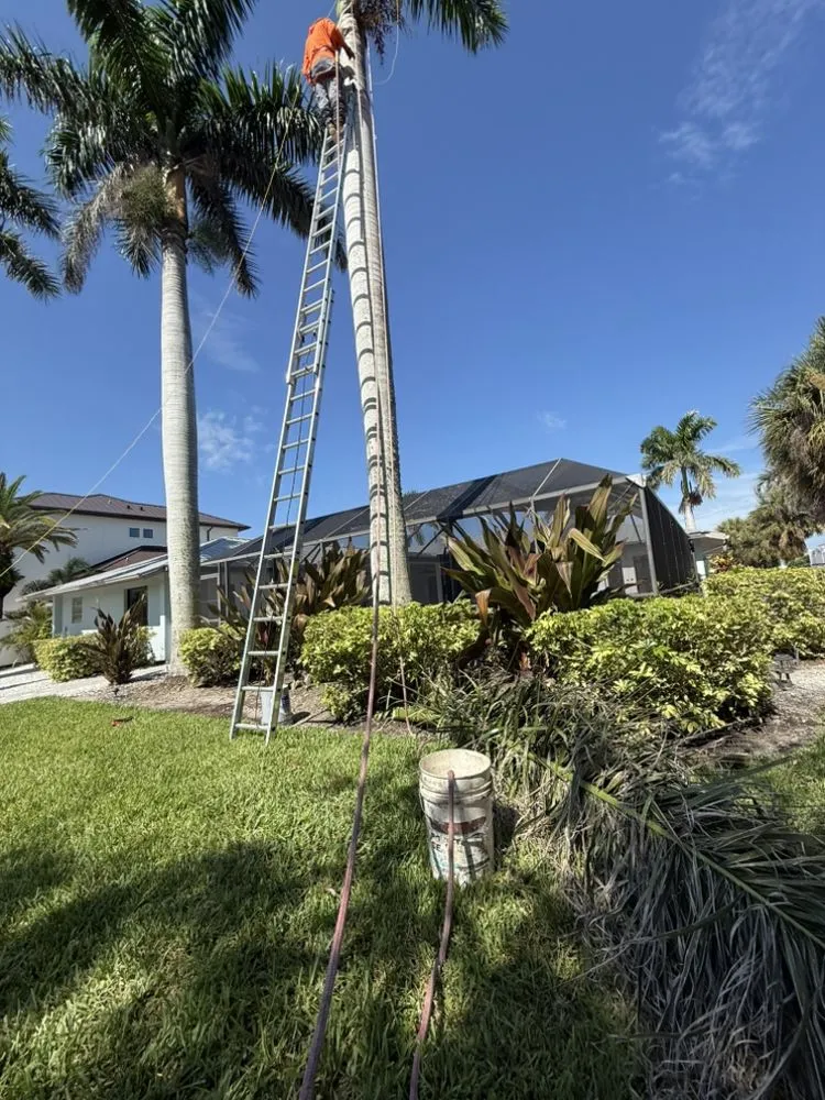 Top-rated landscaping services experts serving Sarasota, FL - Lopez Brothers Lawn, Tree & Handymen Services