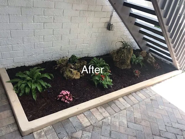 Custom yard cleanup service for residential properties across Sarasota, FL - Lopez Brothers Lawn, Tree & Handymen Services