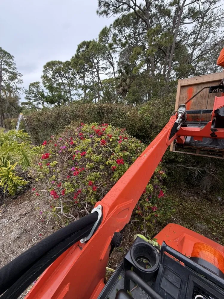 Expert landscape installation for outdoor upgrades across Sarasota, FL - Lopez Brothers Lawn, Tree & Handymen Services