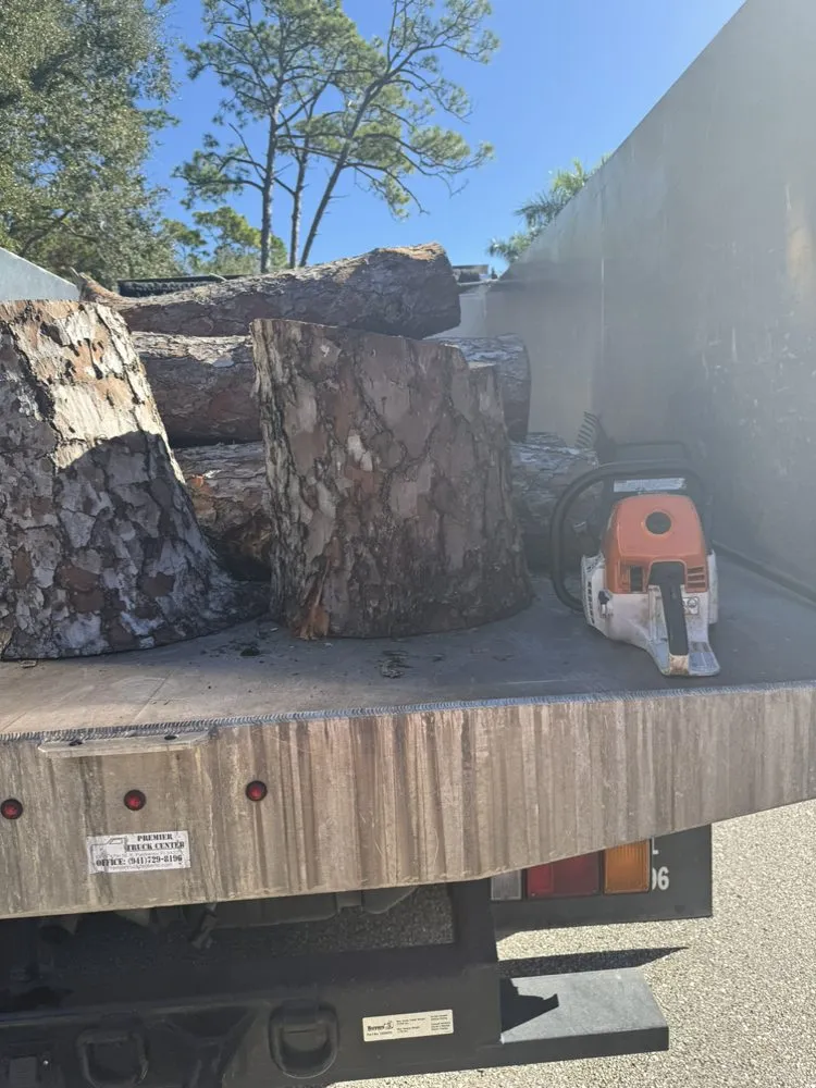 Expert yard cleanup service in Sarasota, FL - Lopez Brothers Lawn, Tree & Handymen Services