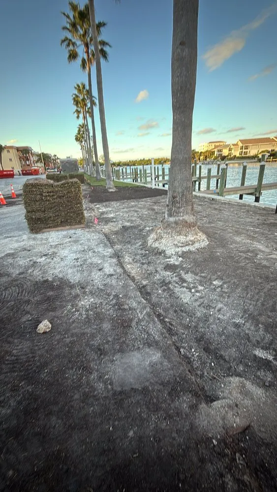 Expert landscape installation in Sarasota, FL by Lopez Brothers Lawn, Tree & Handymen Services