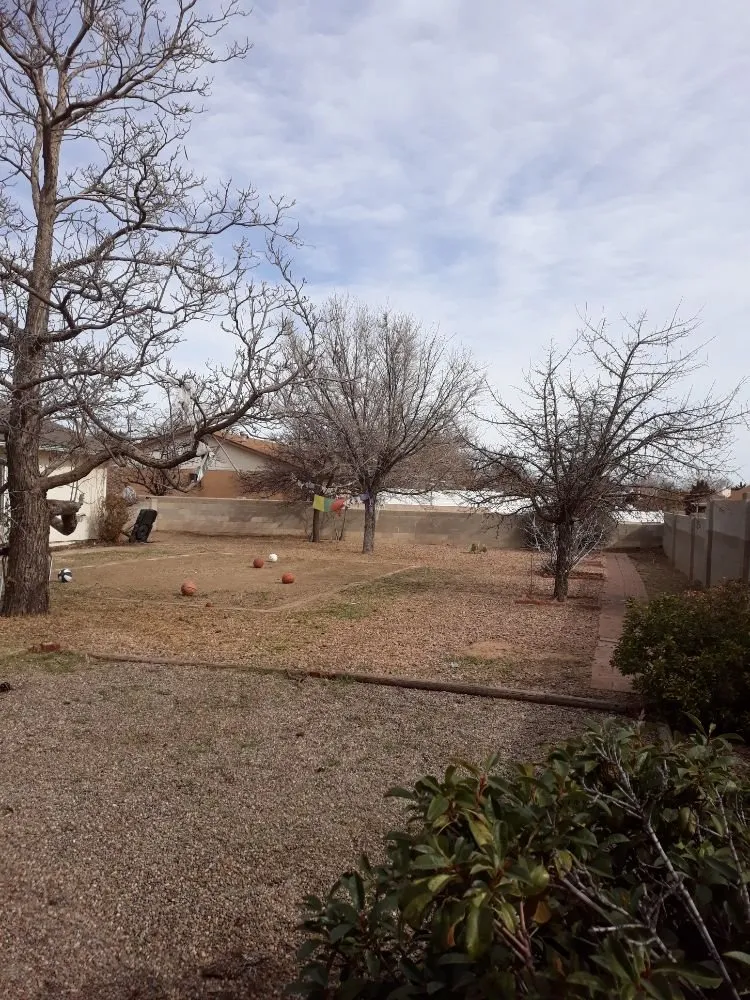 Reliable yard cleanup service for outdoor upgrades in Albuquerque, NM by Lopez Cares Landscaping & Landscape Maintenance