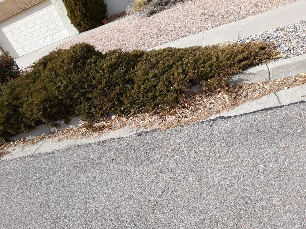 Custom residential landscaping experts serving Albuquerque, NM - Lopez Cares Landscaping & Landscape Maintenance