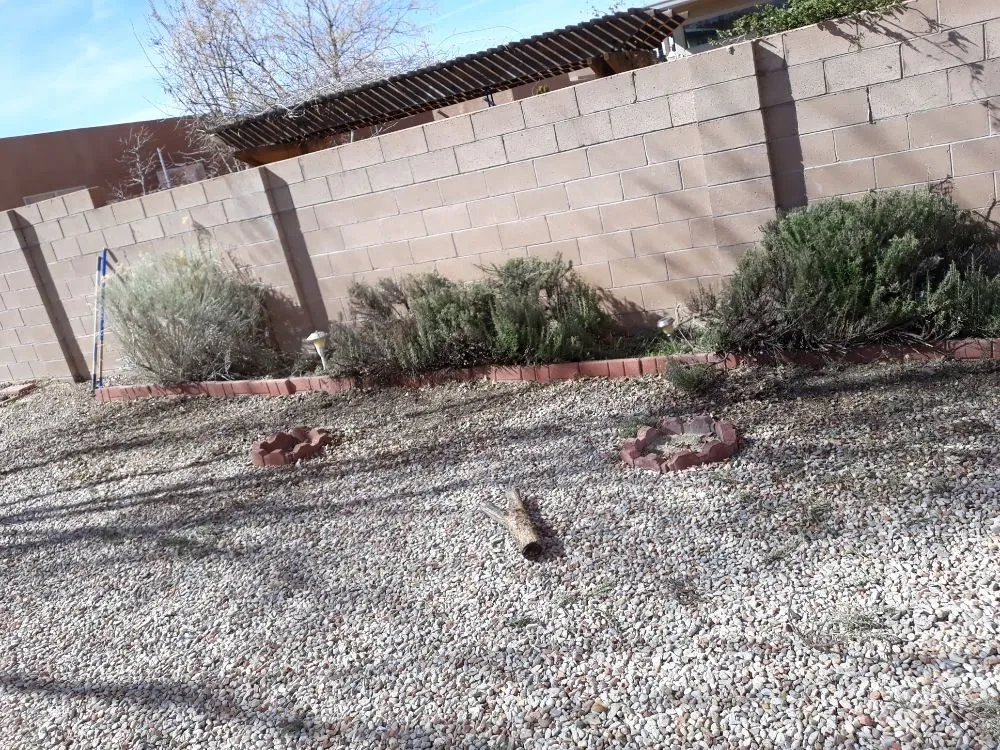 Affordable landscaping services in Albuquerque, NM - Lopez Cares Landscaping & Landscape Maintenance