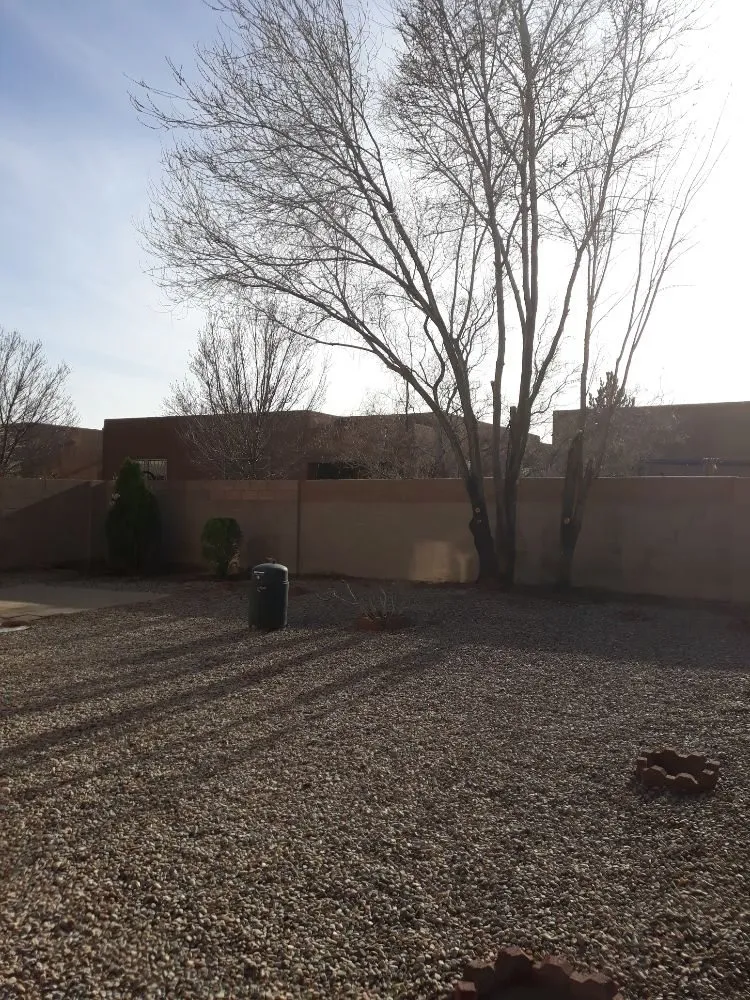 Affordable lawn care service for year-round maintenance across Albuquerque, NM - Lopez Cares Landscaping & Landscape Maintenance