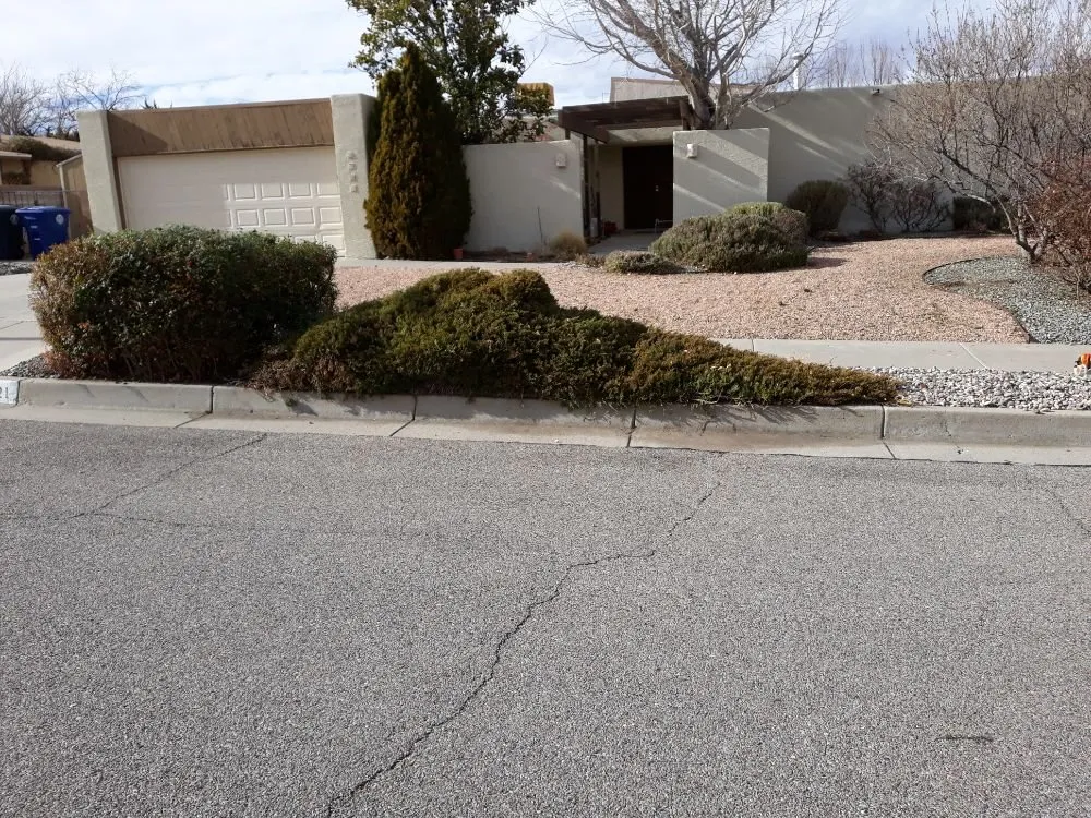 Professional lawn care service in Albuquerque, NM - Lopez Cares Landscaping & Landscape Maintenance