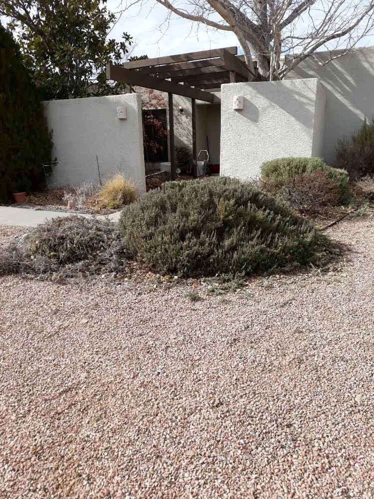 Affordable yard cleanup service for year-round maintenance across Albuquerque, NM - Lopez Cares Landscaping & Landscape Maintenance