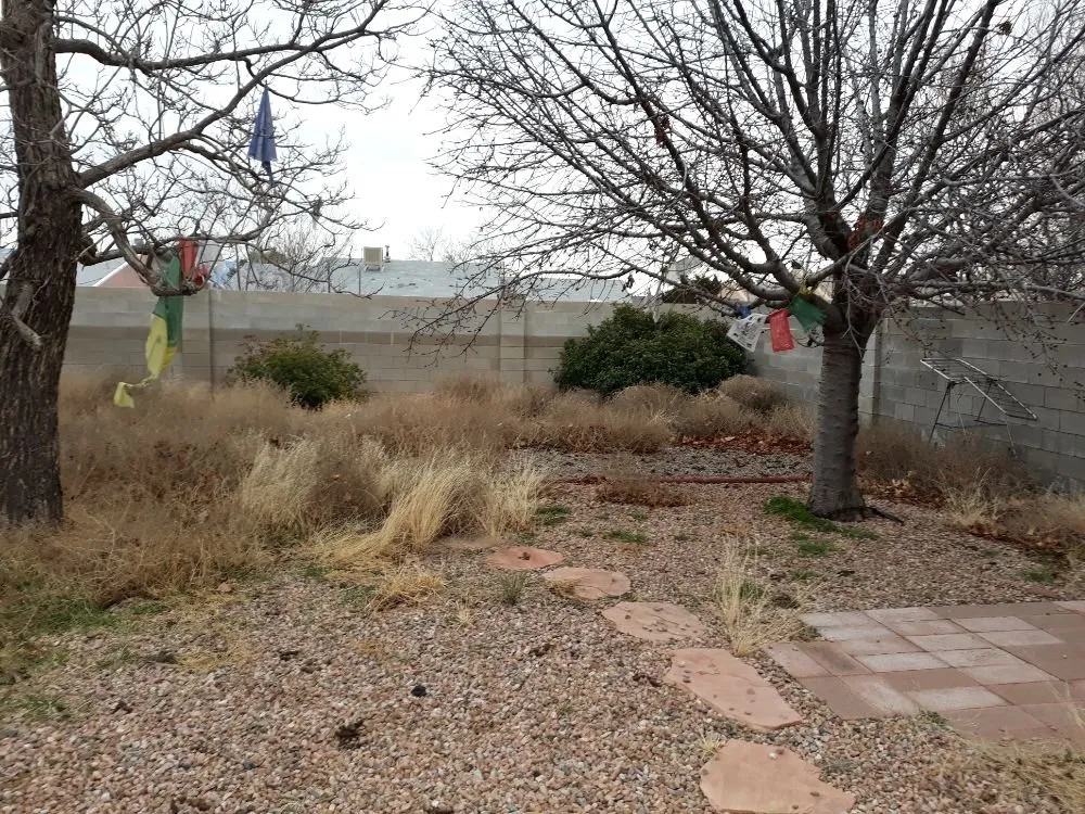 Top-rated residential landscaping in Albuquerque, NM by Lopez Cares Landscaping & Landscape Maintenance