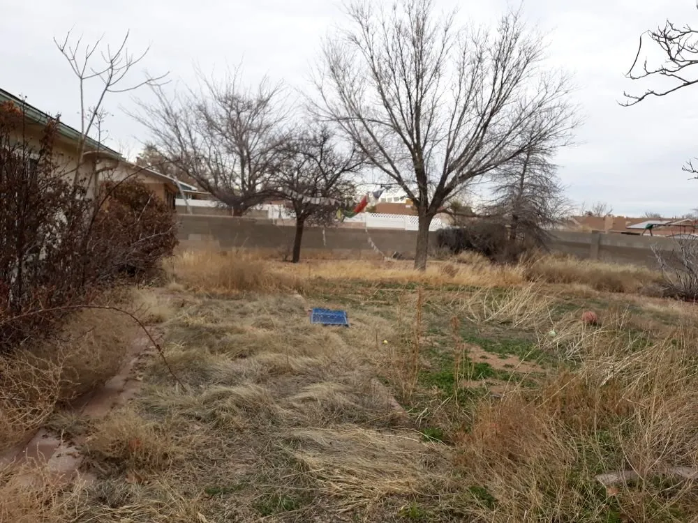 Local yard cleanup service in Albuquerque, NM - Lopez Cares Landscaping & Landscape Maintenance