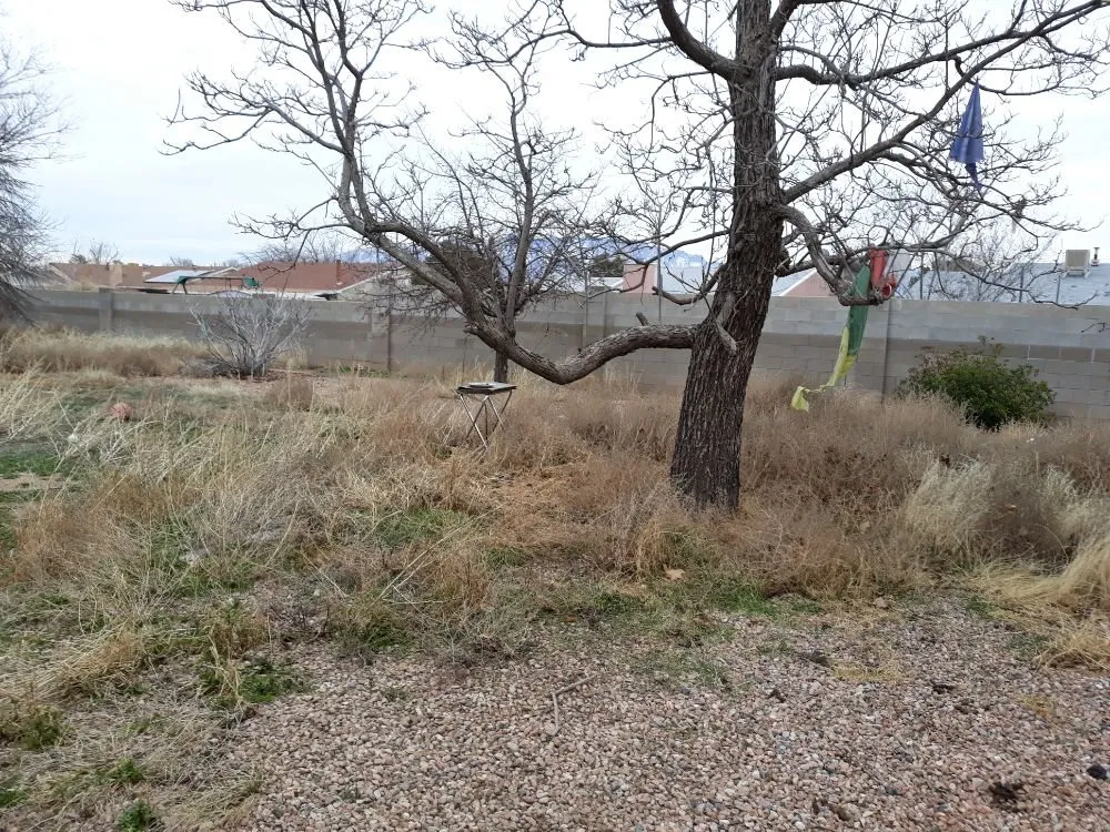 Local lawn care service in Albuquerque, NM by Lopez Cares Landscaping & Landscape Maintenance