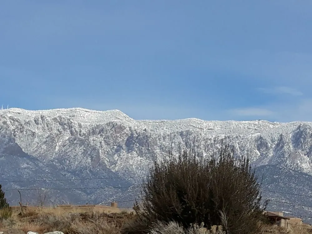 Custom yard maintenance in Albuquerque, NM by Lopez Cares Landscaping & Landscape Maintenance