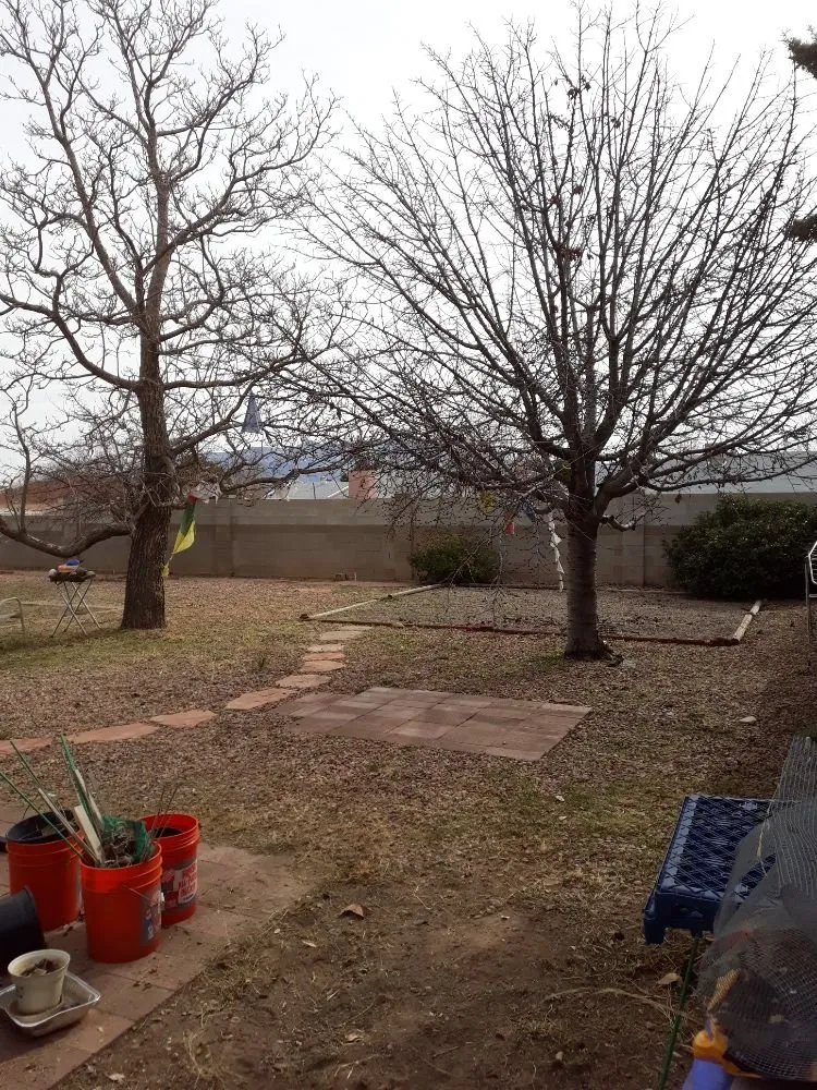 Custom residential landscaping near you in Albuquerque, NM by Lopez Cares Landscaping & Landscape Maintenance