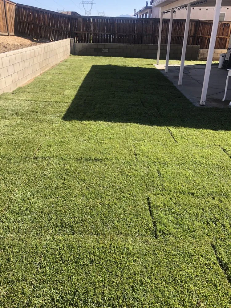 Trusted residential landscaping experts serving Victorville, CA - Lopez Custom Landscaping & Welding