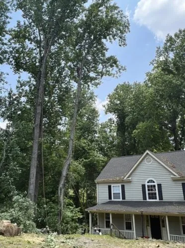 Reliable lawn mowing service with custom design in Charlottesville, VA by Lopez Garden Multi-Services