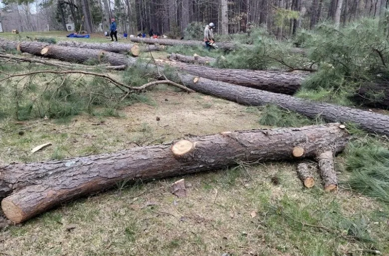 Affordable landscape installation experts serving Charlottesville, VA - Lopez Garden Multi-Services