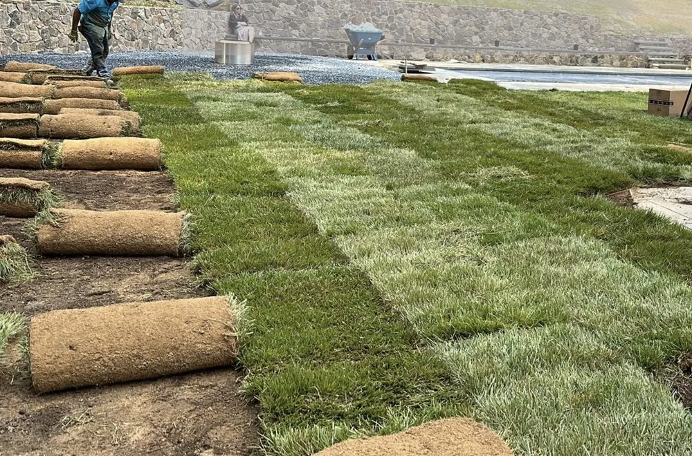 Reliable outdoor landscaping near you in Charlottesville, VA by Lopez Garden Multi-Services