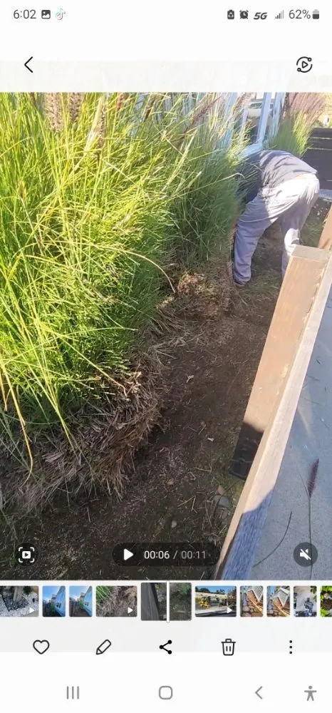 Expert landscaping services near you across Costa Mesa, CA - Lopez Garden Services