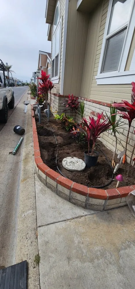 Custom landscape design in Costa Mesa, CA by Lopez Garden Services