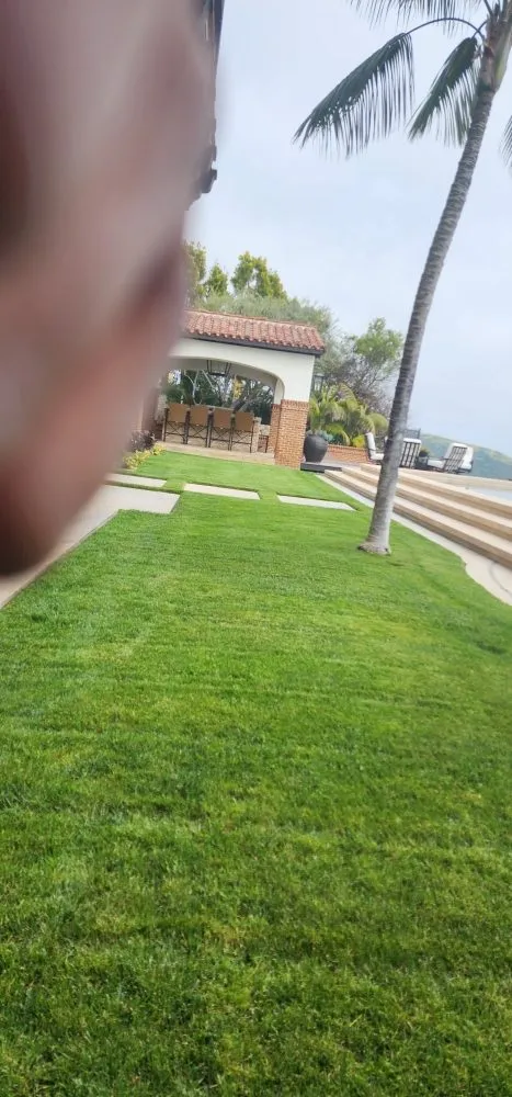 Reliable outdoor landscaping for year-round maintenance in Costa Mesa, CA by Lopez Garden Services