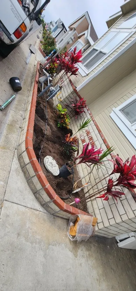 Trusted landscaping services for outdoor upgrades across Costa Mesa, CA - Lopez Garden Services