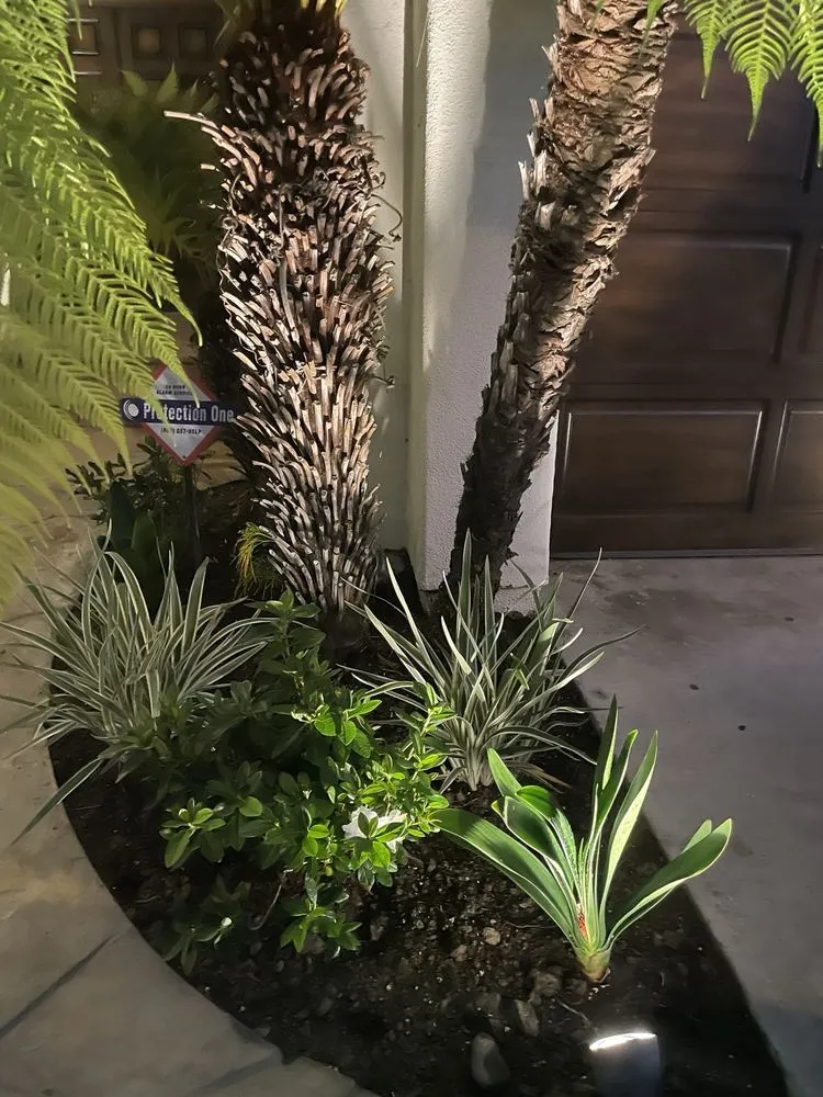 Reliable landscape design with custom design in Costa Mesa, CA by Lopez Garden Services