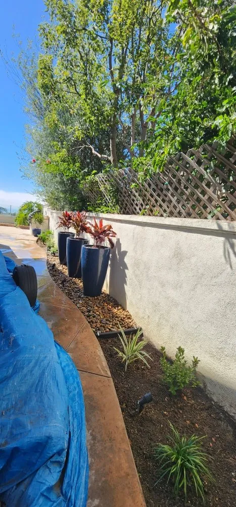 Trusted lawn mowing service in Costa Mesa, CA - Lopez Garden Services