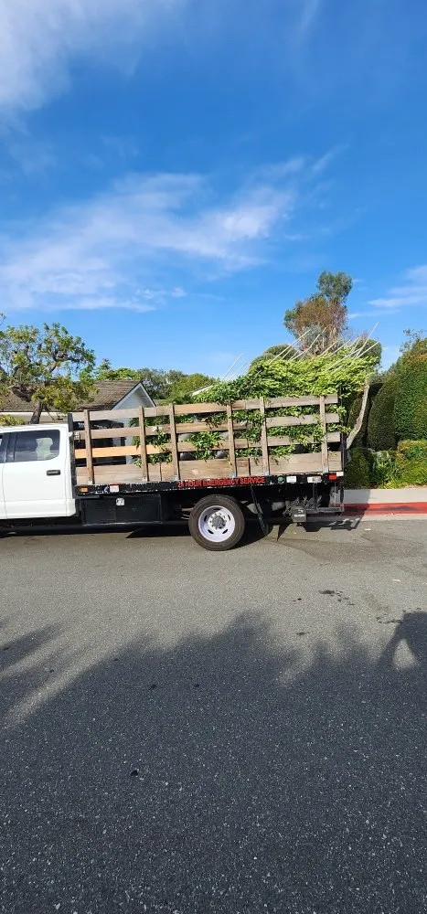 Reliable lawn care service in Costa Mesa, CA - Lopez Garden Services