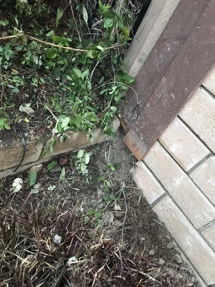 Affordable outdoor landscaping in Pomona, CA - Lopez Gardening & Landscape