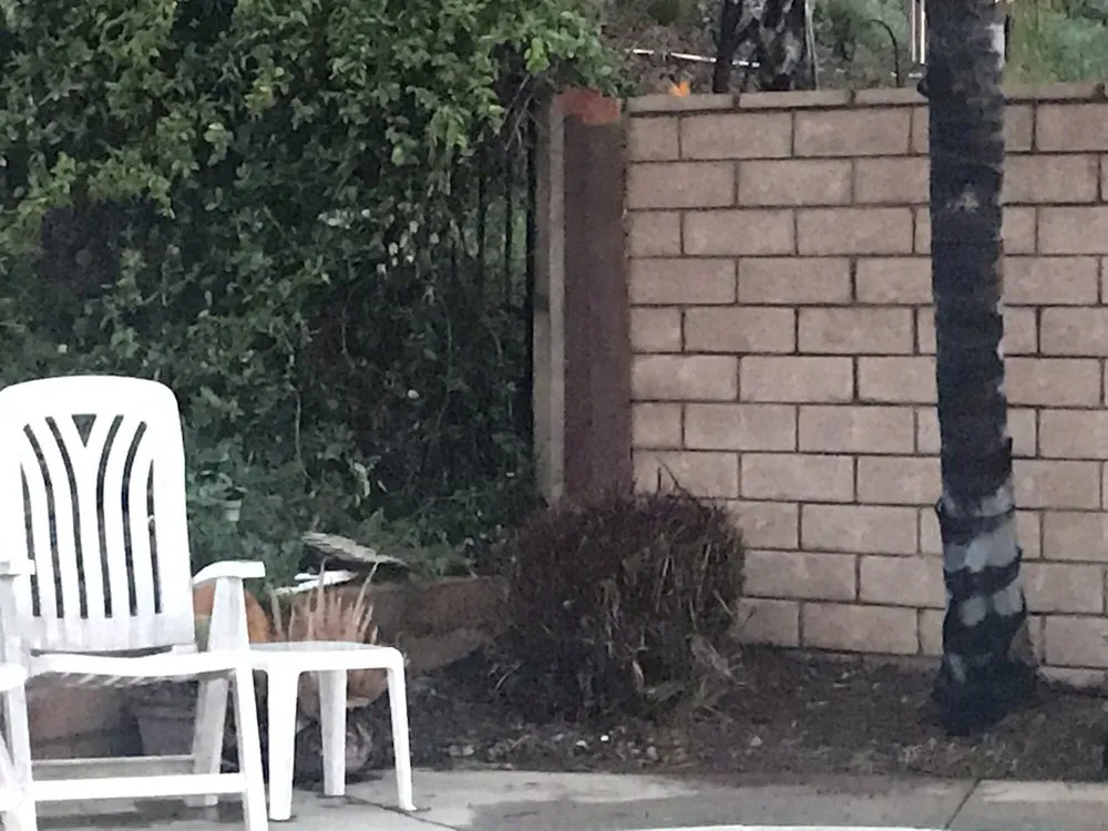 Affordable landscaping services with custom design across Pomona, CA - Lopez Gardening & Landscape