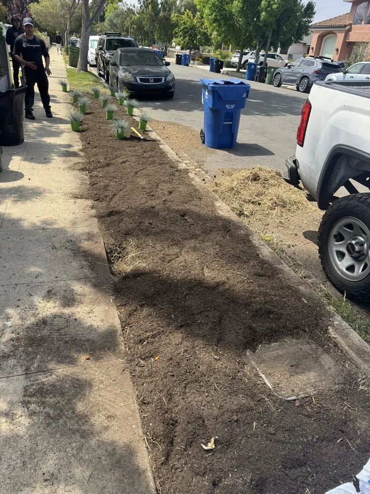 Affordable yard maintenance for beautiful yards in Los Angeles, CA by Lopez Gardening And Tree Service