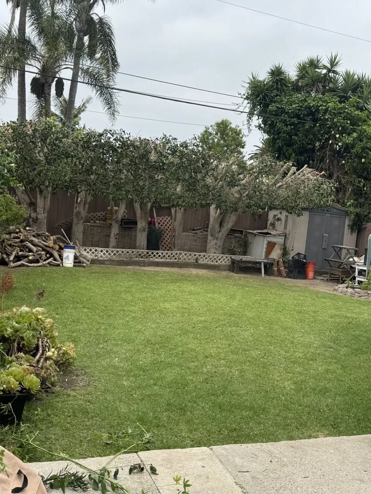 Affordable residential landscaping for year-round maintenance across Los Angeles, CA - Lopez Gardening And Tree Service