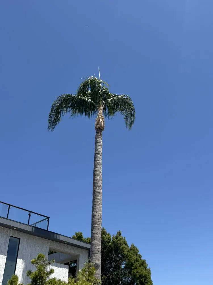 Affordable landscape design experts serving Los Angeles, CA - Lopez Gardening And Tree Service