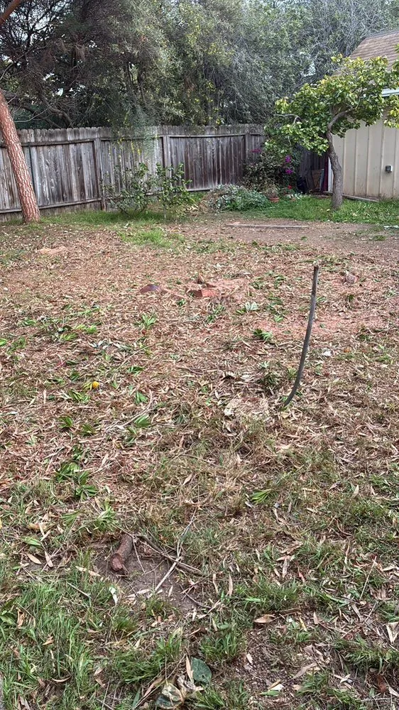 Reliable lawn care service experts serving Los Angeles, CA - Lopez Gardening And Tree Service