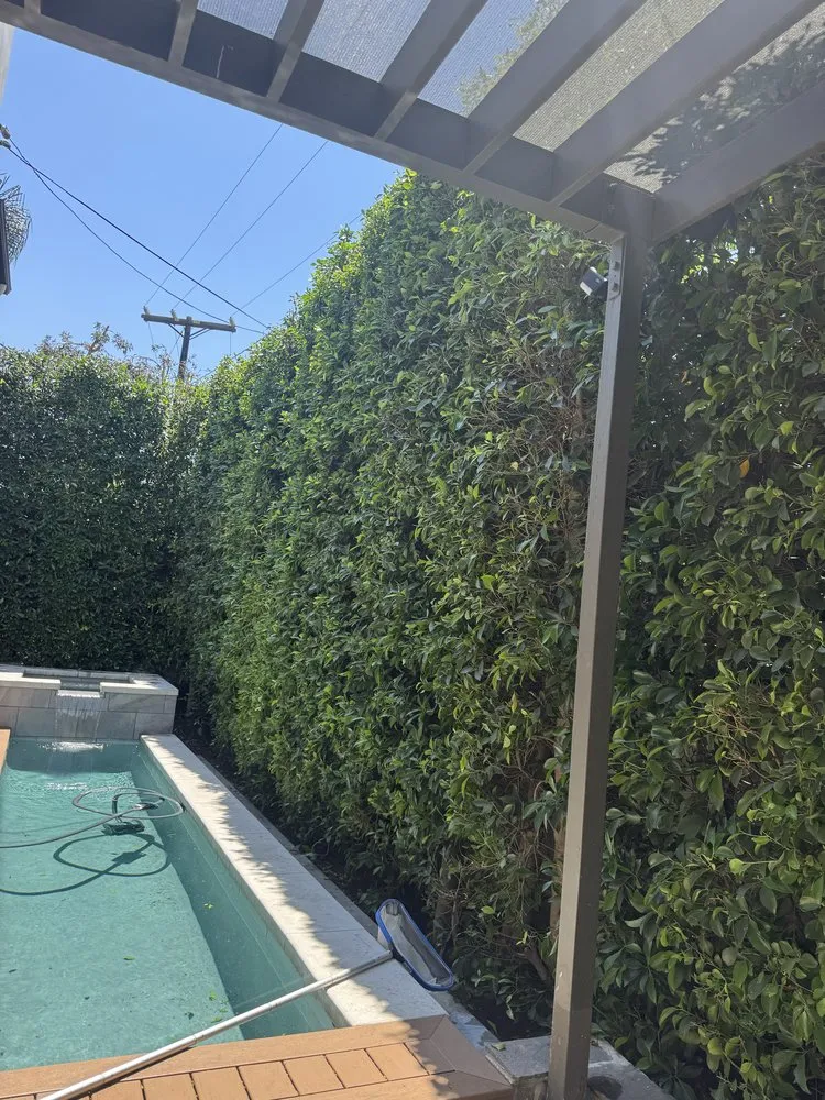 Custom garden landscaping experts serving Los Angeles, CA - Lopez Gardening And Tree Service