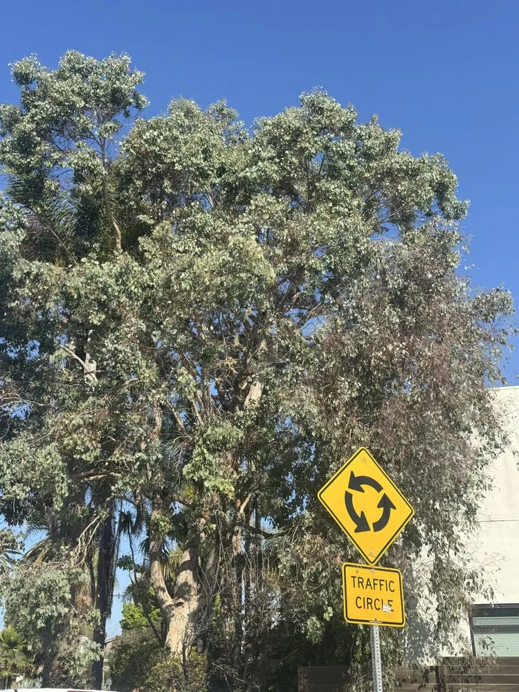 Affordable landscape design for residential properties across Los Angeles, CA - Lopez Gardening And Tree Service