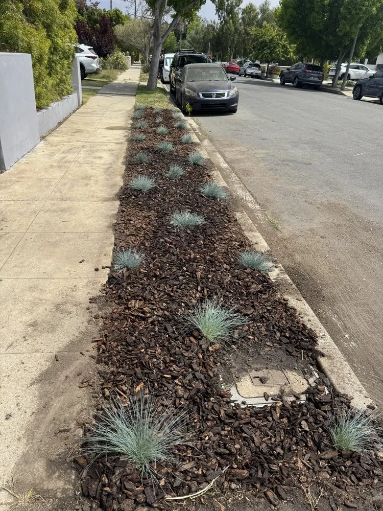 Professional residential landscaping experts serving Los Angeles, CA - Lopez Gardening And Tree Service