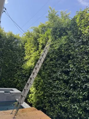 Lopez Gardening And Tree Service Logo