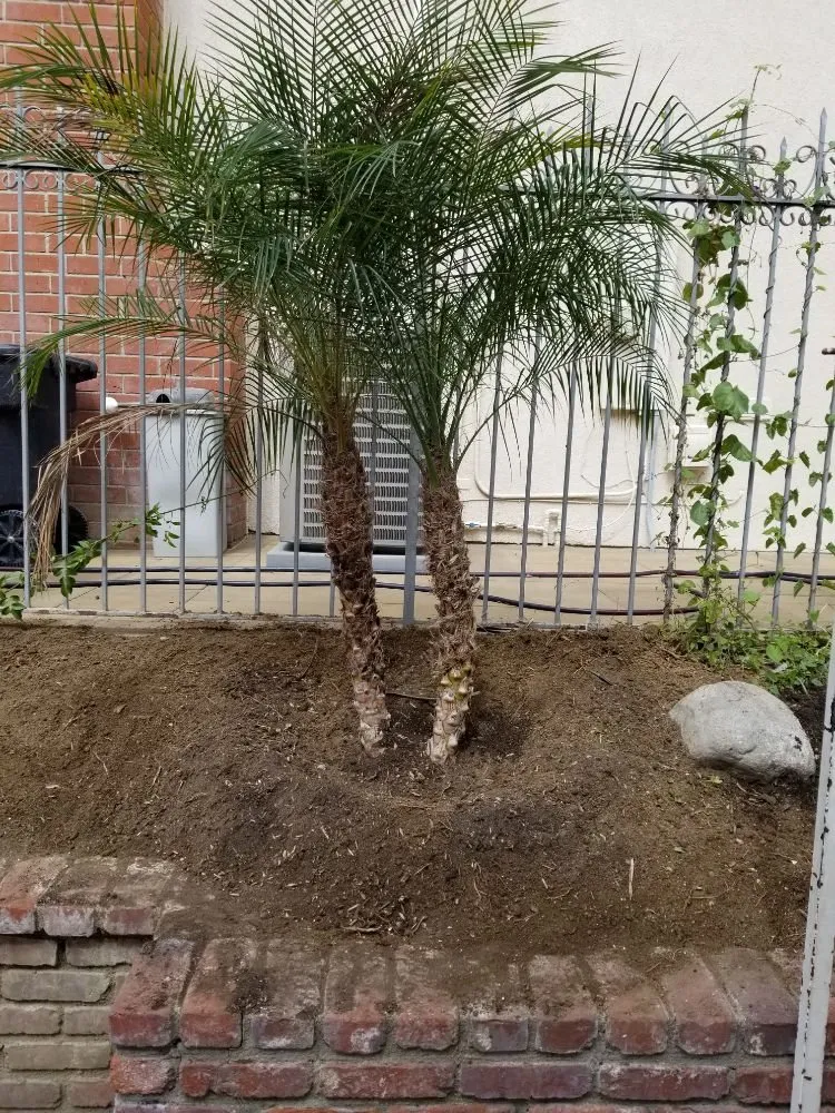 Trusted garden landscaping experts serving Whittier, CA - Lopez Gardening Services