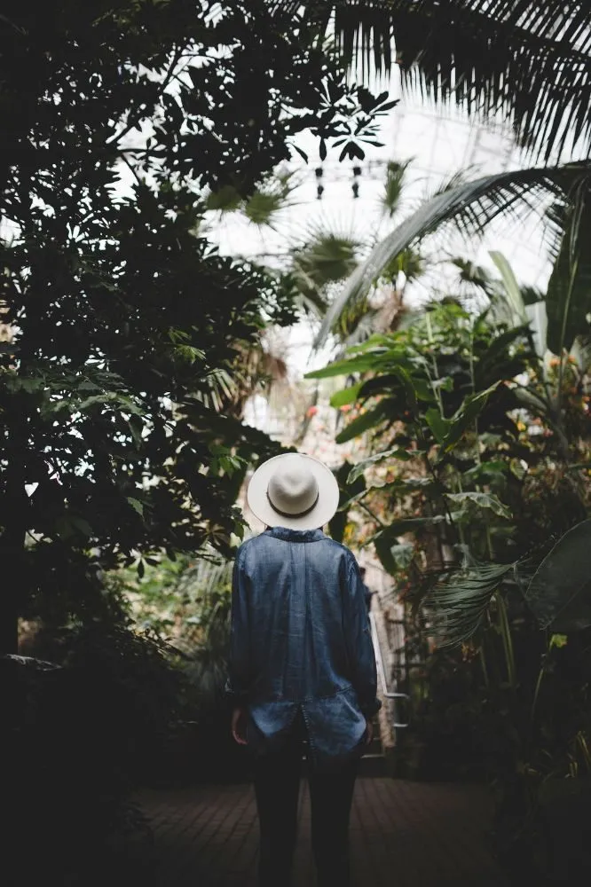 Top-rated landscape installation for year-round maintenance in Whittier, CA by Lopez Gardening Services