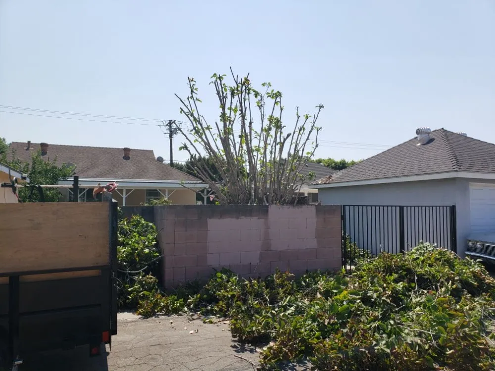 Expert residential landscaping experts serving Whittier, CA - Lopez Gardening Services